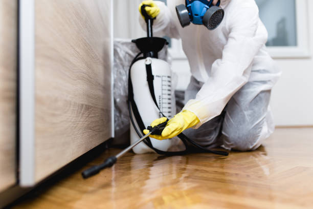 Best Pest Control Cost  in Santa Barbara, CA