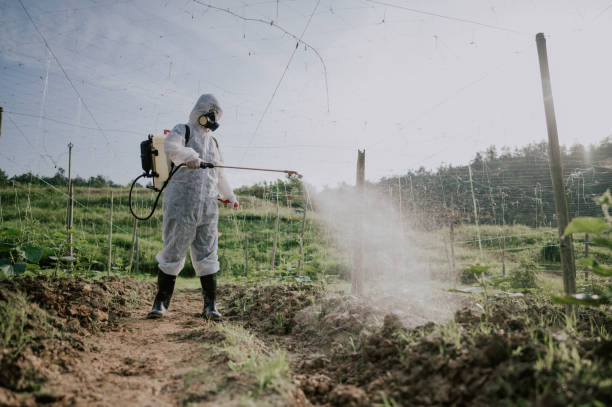 Best Commercial Pest Control Services  in Santa Barbara, CA