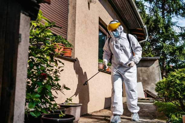 Best Insect Control  in Santa Barbara, CA