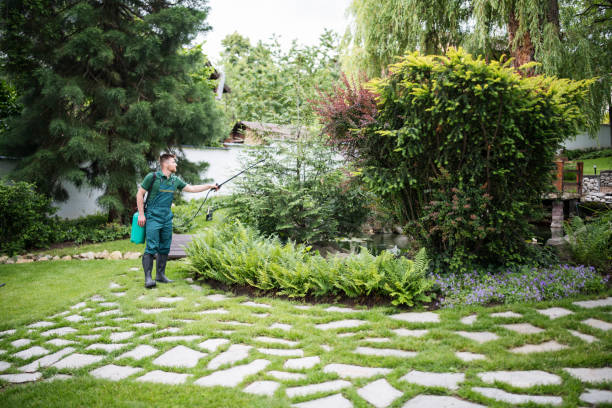 Pest Control Cost in Santa Barbara, CA