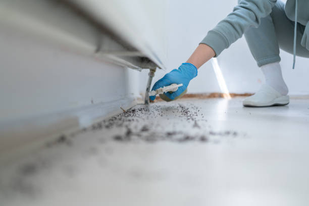 Best Cockroach Control Services  in Santa Barbara, CA