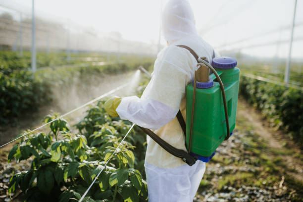 Best Pest Removal Services  in Santa Barbara, CA
